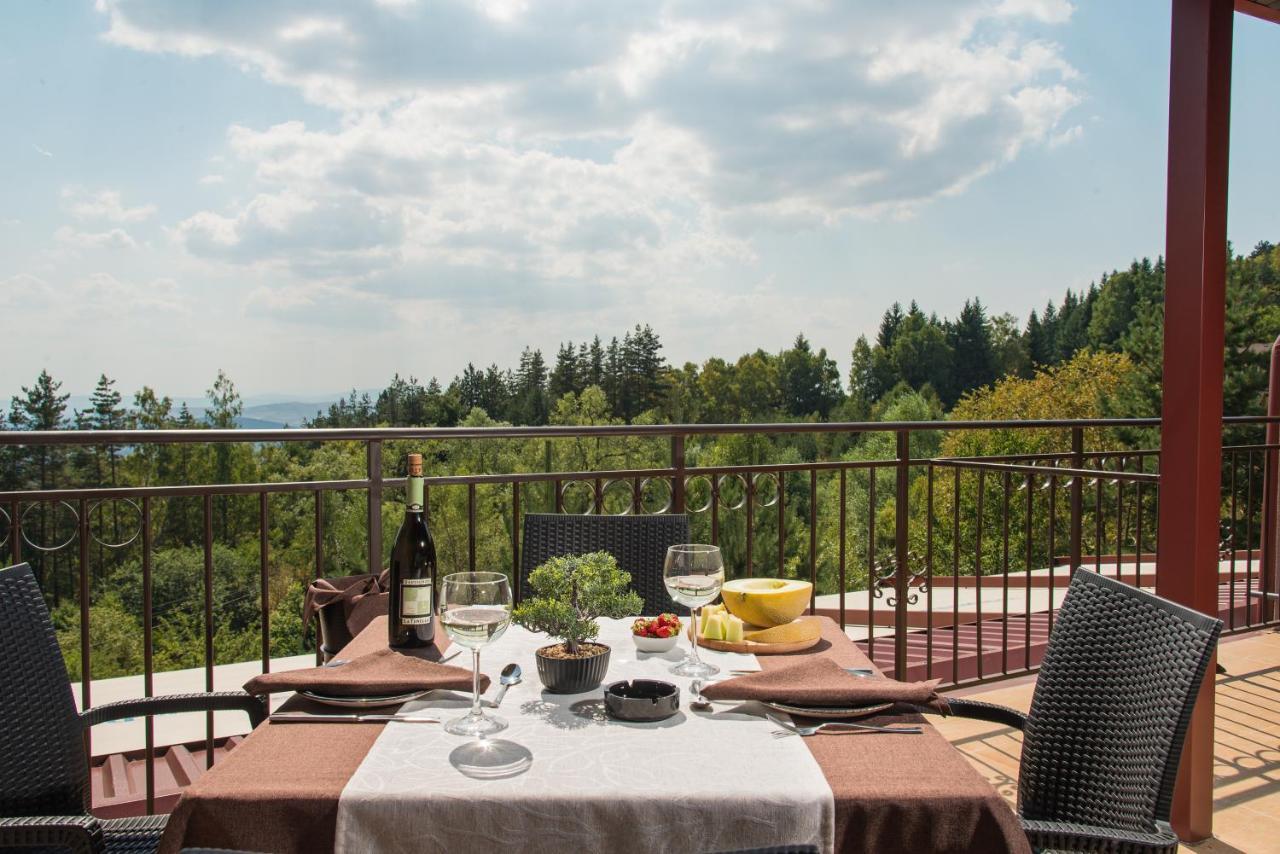 Hotel Villa Magus Kladnitsa Exteriér fotografie